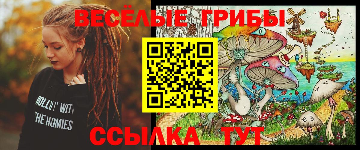 Галлюциногенные грибы мухоморы Можайск