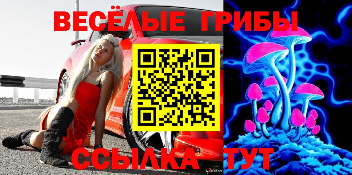 Галлюциногенные грибы MAGIC MUSHROOMS  Псилоцибиновые грибы Magic Shrooms  Вход с VPN  Можайск 
